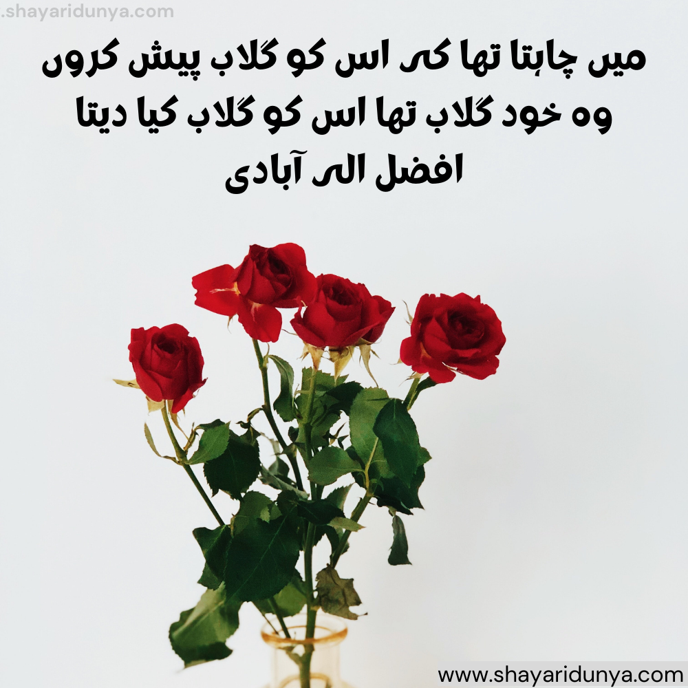 Gulab shayari urdu | Gulab shayari 2 lines urdu | Gulab ka phool shayari | urdu phool quotes in urdu | gulab shayari