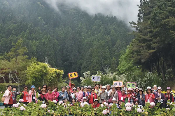 ▲松年大學彰基分校前往南投杉林溪森林遊樂區，進行生態及文化之旅。（切膚之愛基金會提供）