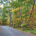 autumn road