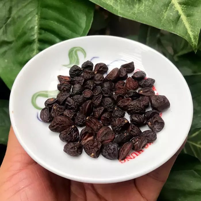 Hạt dổi rừng