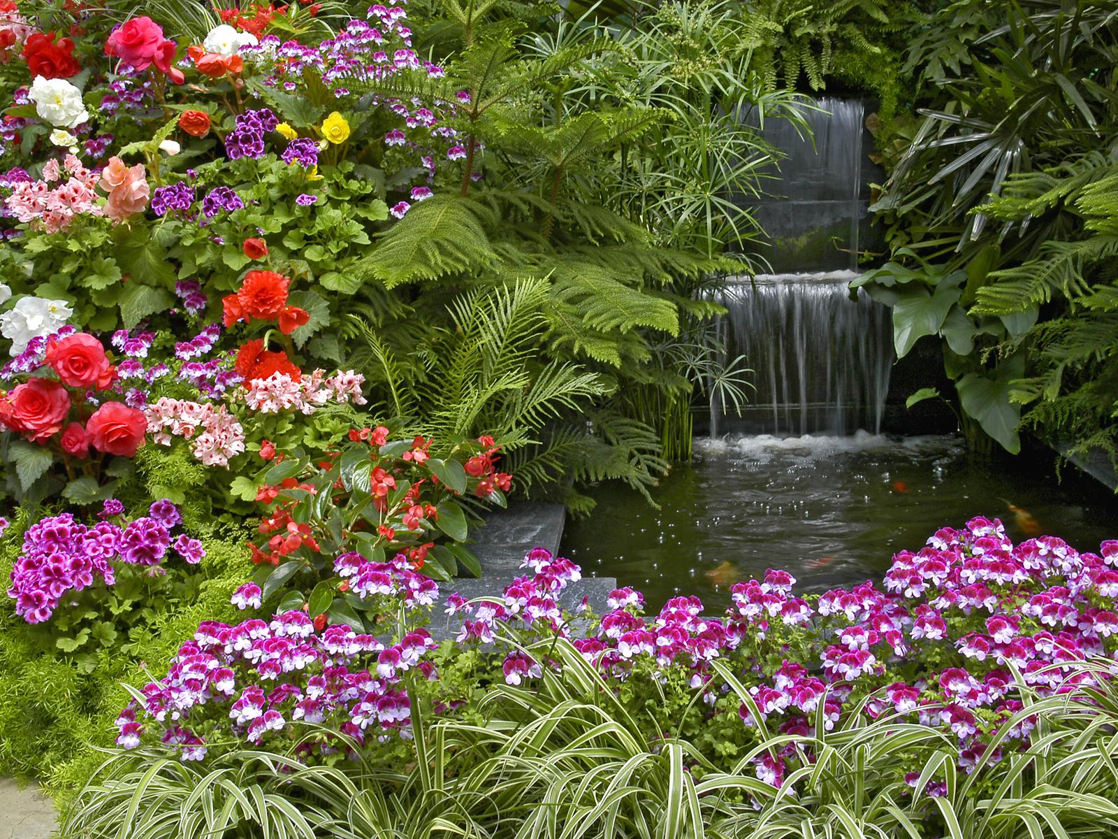 Foto Foto Kebun Bunga Yang Indah