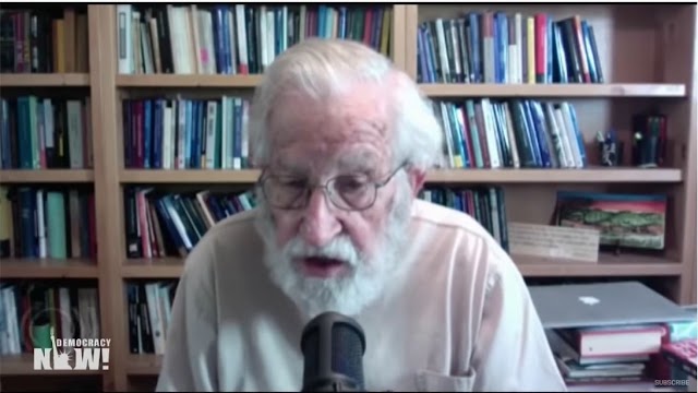 Noam Chomsky on Trump's Disastrous Coronavirus Response, WHO, China, Gaza and Global Capitalism