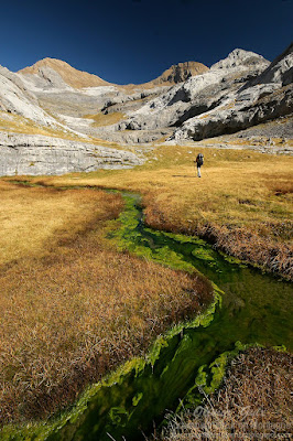 Sur les hauteurs du canyon d'Ordesa