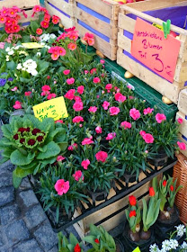 primavera 