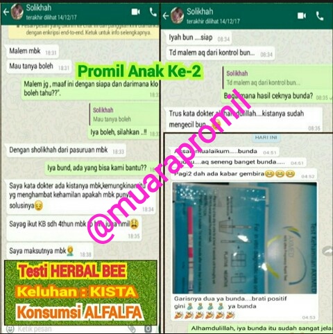 muara promil