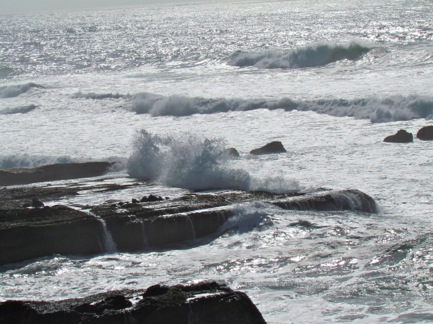 OceanBluffsTrail-49-2012-03-25-22-19.jpg