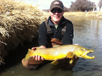 26.5 inch Bear River Brown