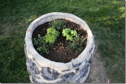 May 2012 052