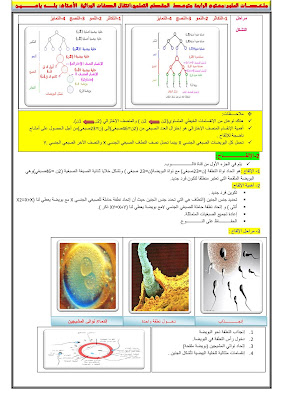 ملخص مادة العلوم الطبيعية الرابعة متوسط