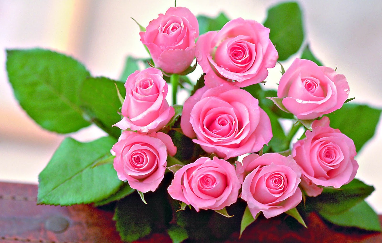 6 Gambar Bunga Mawar Cantik Cocok Untuk Wallpaper | Gambar ...