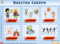 http://www.vedoque.com/juegos/juego.php?j=El-Cuerpo