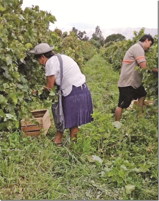 Poblaciones tarijeñas