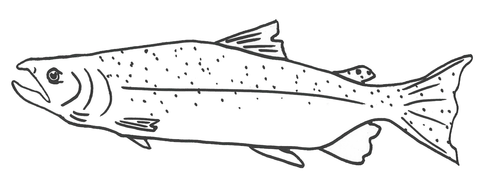 Time to Fly: FREE Salmon Coloring Pages