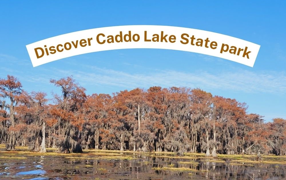 A Quick Guide To Visit Caddo Lake State Park In East Texas