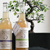 Belixir, my favorite natural beverage