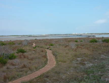 P1130790