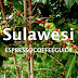 SULAWESI TORAJA COFFEE TASTE