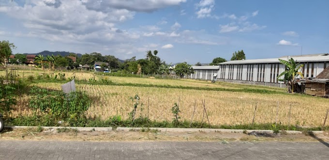 Tanah Murah Kawasan Perumahan, Gudang dan Pabrik di Tirtomartani Sleman