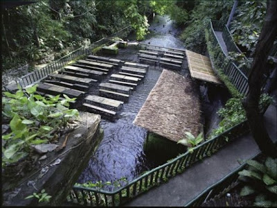 Restoran di Bawah Air Terjun Pertama di Dunia