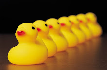 Get Your Ducks in a Row