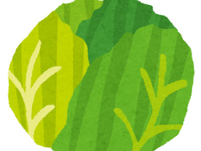 [ベスト] フリー キャベツ 千切り イラスト 856855