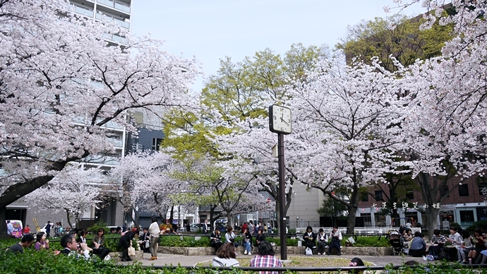 14 大阪賞櫻景點 堀江公園 味處和風亭