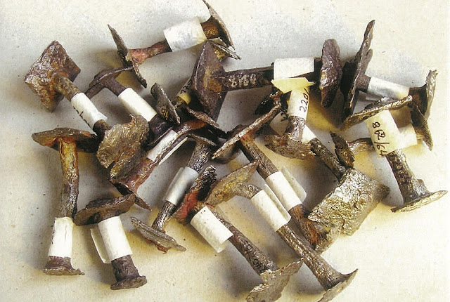 Zdjęcie nitów żelaznych znalezionych na Srebnym Wzgórzu na Wolinie, zdjęcie Fundacji Nauki Polskiej
