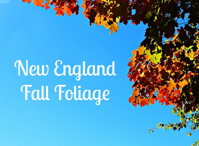 New England Fall Foliage