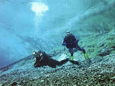 Beautiful Underwater Meadow