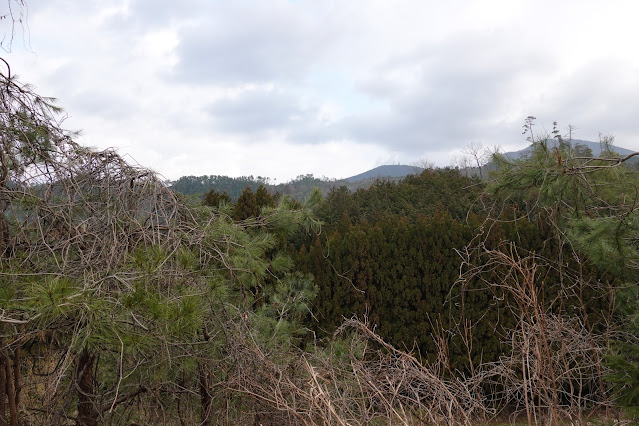 鳥取県米子市淀江町本宮 稲吉本宮線の農道からの眺め