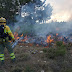 Φωτιά στη φωτιά: Πείραμα ελεγχόμενης καύσης από το WWF για την πρόληψη των πυρκαγιών