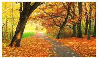 Beautiful Autumn HD Wallpaper Photos