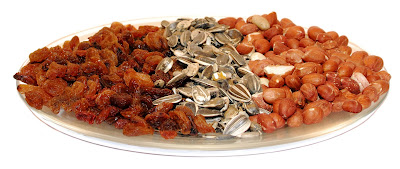 Snack plate with raisins, raw sunflower seeds, and raw peanuts.