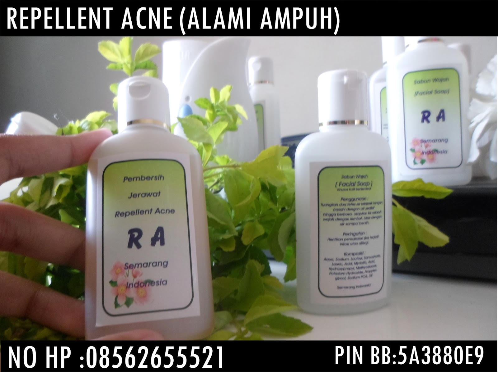  Obat  Sabun Jerawat Alami  Ampuh  Tradisional Paling  Bagus Di 