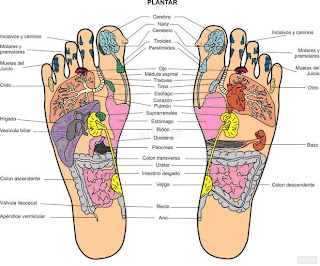 TERAPIAS: REFLEXOLOGÍA