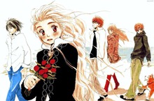 Honey & Clover