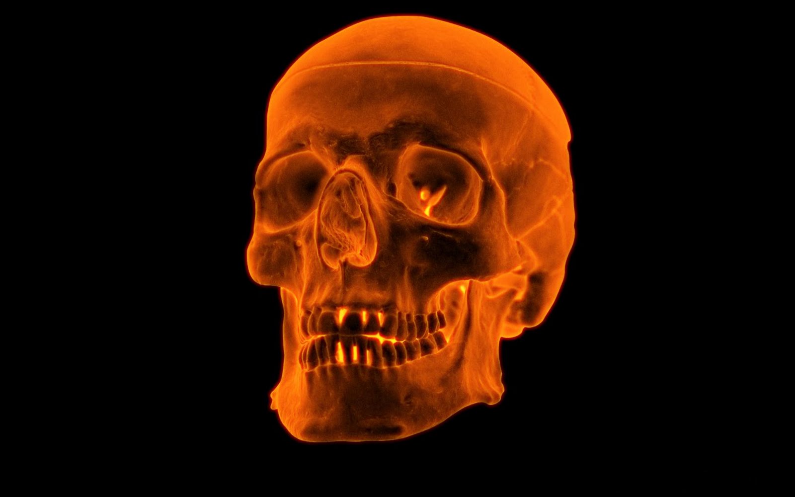 https://blogger.googleusercontent.com/img/b/R29vZ2xl/AVvXsEjtbGTZXTI_tBtAn7zSlRQCZCRi0E3lBHf8wRLo7Vbmtv5Jt60oMj6PWLVP0qSWvo64wNFjPOjt9gVaRgwoUYbWYFuEeTjWfWCALGQTxhkDNzSRs4t3PsqjwdWJ58aiYGlf-O4ECn0h8BJN/s1600/3D-Fire-Skull+(1).jpg