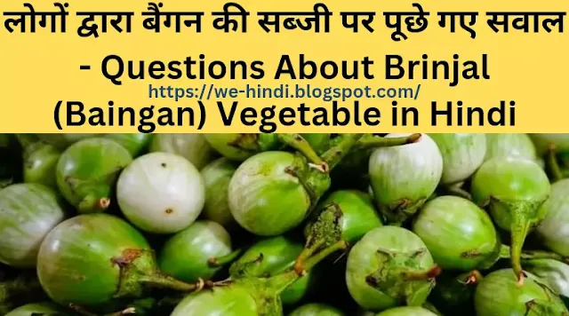 लोगों द्वारा बैंगन की सब्जी पर पूछे गए सवाल - Questions About Brinjal (Baingan) Vegetable in Hindi