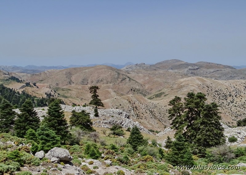 Quejigales-Tajo del Canalizo-Enamorados-Cerro Alto