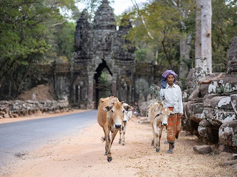 Best things to do around Siem Reap