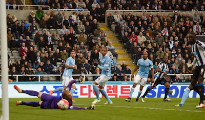 Newcastle United’s Vurnon Anita