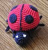 Ladybug