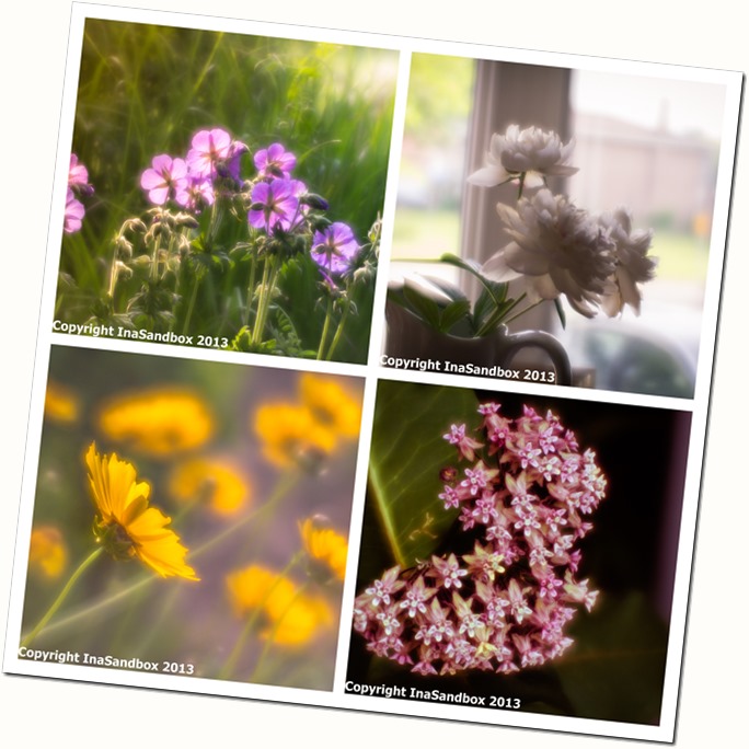light collage