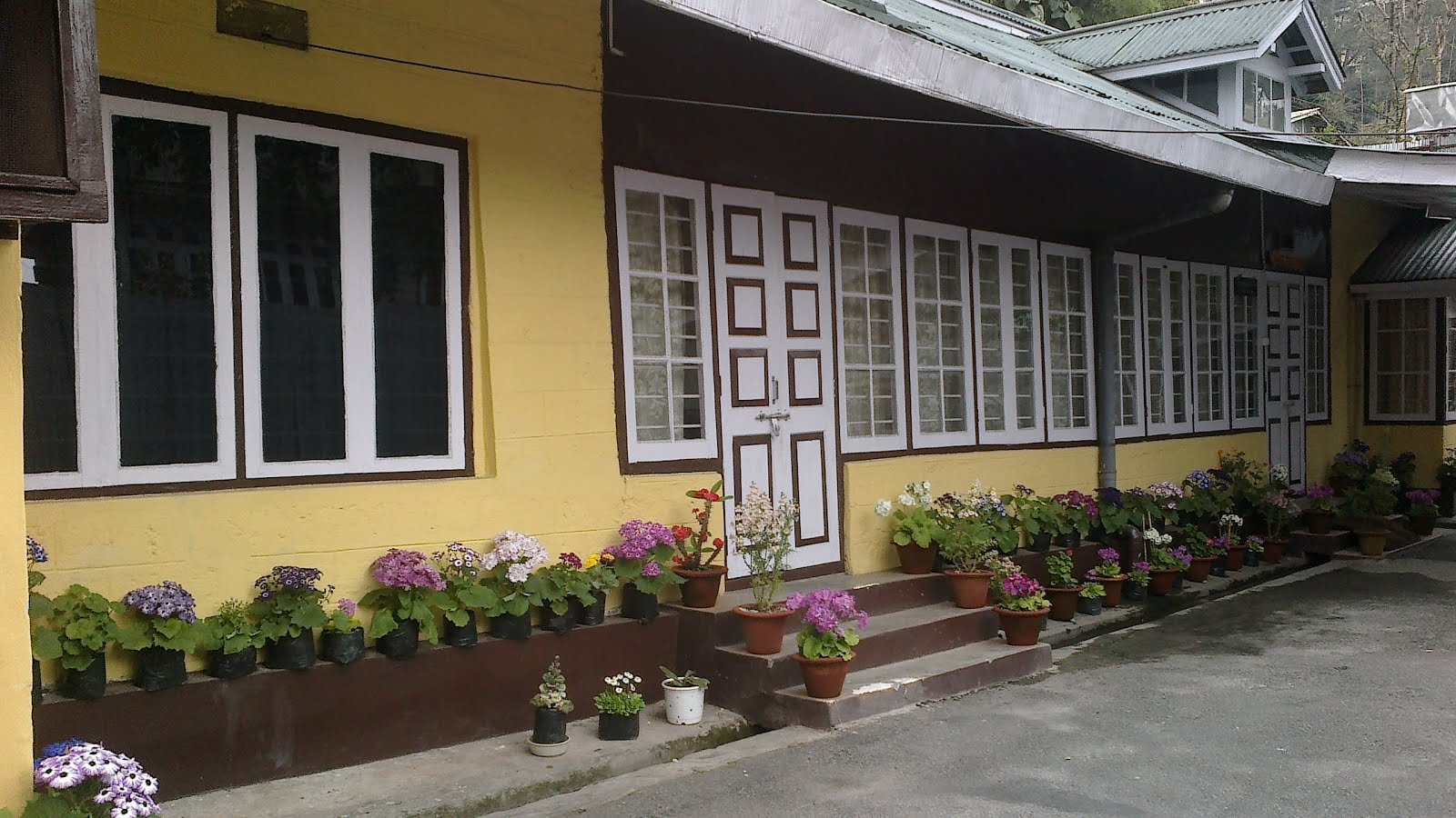 Yellow Villa