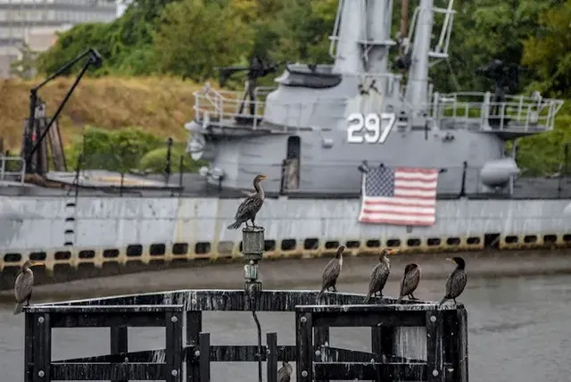 El-submarino-USS-Ling-en-la-lista-de-los-lugares-históricos-más-amenazados-de-Nueva-Jersey