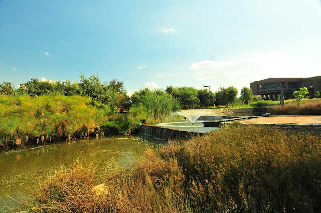 Fountain and pond in the backyard