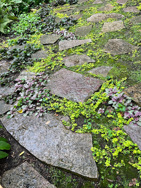 Plants grow in between the stone work at Period Park.