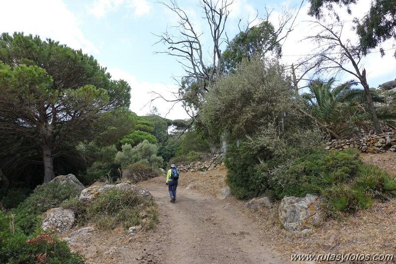 Los Algarbes - Betijuelo - San Bartolomé - Punta Paloma - Duna de Valdevaqueros