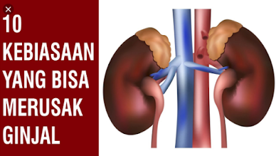 10 Kebiasaan yang Bisa Merusak Ginjal 