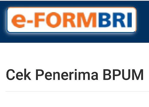 Cuma Input NIK KTP di Link Eform BRI untuk Cek BLT UMKM, Ini Kriteria Penerima BPUM Rp 600 Ribu